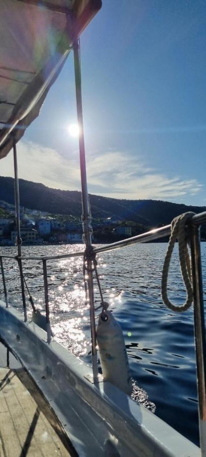Sea La Vie Lägenhet Valun