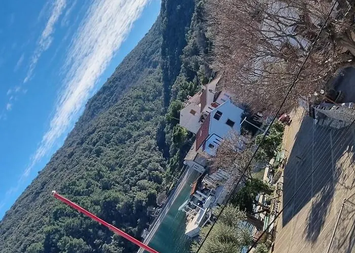 Sea La Vie